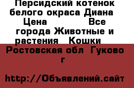 Персидский котенок белого окраса Диана › Цена ­ 40 000 - Все города Животные и растения » Кошки   . Ростовская обл.,Гуково г.